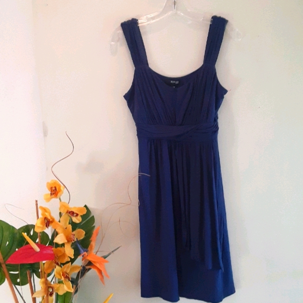 Style & Co Navy Blue Spring Summer Pretty Dress